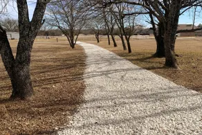 Pine Breeze Haven - Image 4