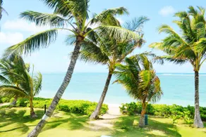 Sandy Beachfront Cottage - Image 4
