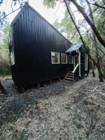 In the woods by the river, no neighbors, and Starlink WiFi - Image 2