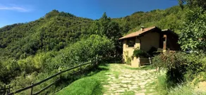 Cottage in nature, breakfast included - Image 5