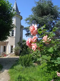 Quiet house with swimming pool surrounded by its park - Image 2