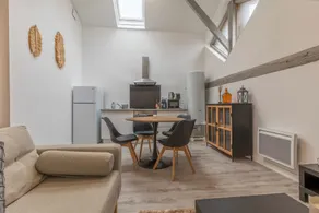 Large Atypical Downtown Apartment - Image 3