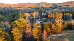 NEW Modern Cabin Close to Helen | Wineries - Image 5