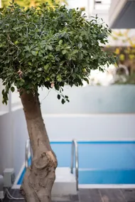 Palmyra Athens Riviera with private pool - Image 3