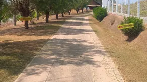 Zuza's Farm, in Campestre! - Image 4