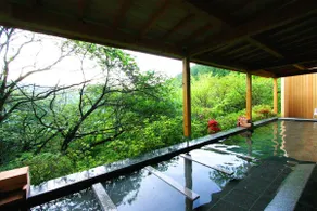 Atami Nature Village Resort | Natural Hot Spring & Sauna | Great View Condo in the Same Area as the Hotel - Image 3