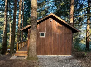 Cozy Cabin! Private & Overlooking the Woods - Image 4