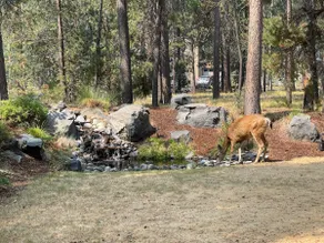 Quiet Relaxing Home Near Sunriver Hot Tub Bikes - Image 5