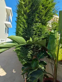 The Bright House a two-storey maisonette in Loutraki - Image 2