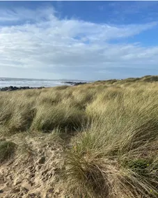 Rhosneigr beach mountain surf - Image 4