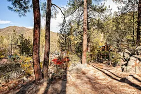 Chick'n Coop Cabin - Image 5