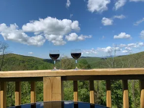 Alpine Point Chalet - Breathtaking Views - Image 3
