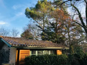 Wooden house, forest and sea - Image 2