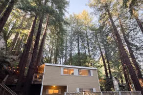Window to the Redwoods: Near Downtown & Muir Woods - Image 5