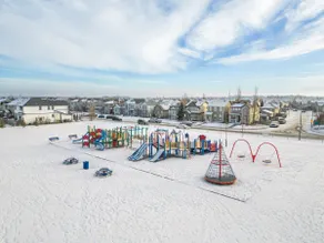 Blue Moon | Playground | Backyard | Pet Friendly - Image 5