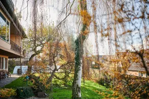 Temporary think tank & urban oasis - Image 5