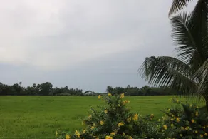 RioCasa - Image 5