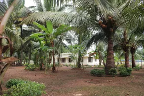 RioCasa - Image 2
