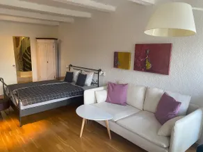 Joline private guest apartment ”Studio 45m2” - Image 5