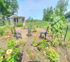 Nature-Filled Family Farm Retreat Near Ann Arbor - Image 3
