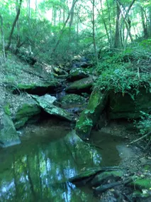 100acre Woods Cabin Retreat - Image 5