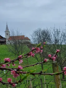 Kuća za odmor Old stone house - Image 4
