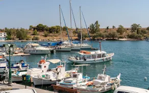 Absolute Perdika Aegina - Image 2