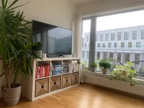 Top Floor Apartment, Central Oslo (Grønland) - Image 4