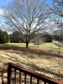 Glamping in Greer - Image 2