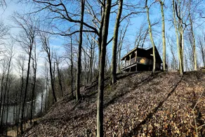 Riverview Country Cabin - Image 3