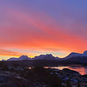 Cozy holiday apartment in Efjord nr1 - Image 3