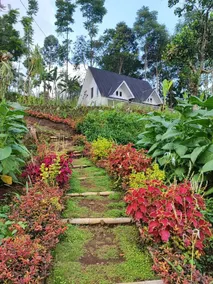 Meraki Cijambu Kinanti - Image 3