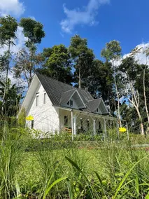 Meraki Cijambu Kinanti - Image 4