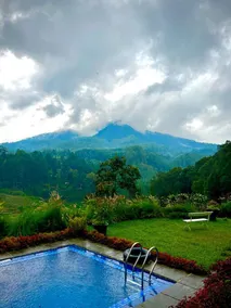 Meraki Cijambu Kinanti - Image 2