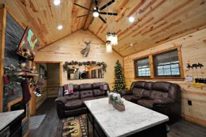 Enjoy spring from a Cozy Cabin - Image 2