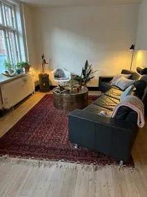 5 Room Apartment with Rooftop Terrace Vejle City - Image 2