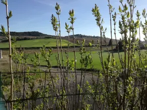 Charm in the heart of the vineyards - Image 4