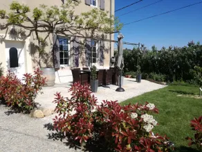 Charm in the heart of the vineyards - Image 2