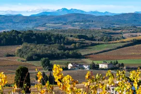 Charm in the heart of the vineyards - Image 5
