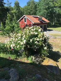 Modern cottage with its own dock. - Image 2