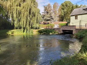 The old Treux Mill - Image 2