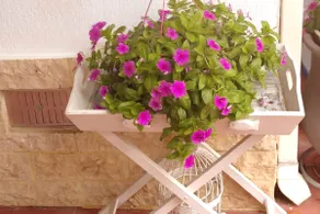 Vasiliki's home - Image 5