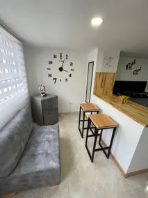 Entire loft-style apartment - Image 3