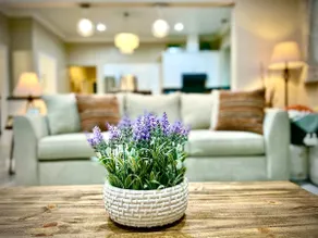 Luxurious & Grand 8 BR at the heart of San Jose - Image 2