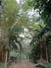 Nellari Heritage Bungalow - Image 3
