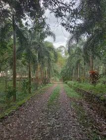 Nellari Heritage Bungalow - Image 4