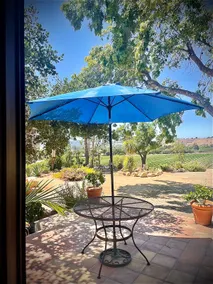 Hilltop Vineyard and Agave Field with View - Image 3