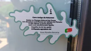 Bungalow Carvalho ( Green Paradise Glamping ) - Image 4