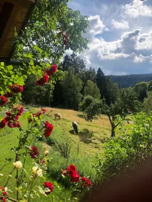 Beautiful place in the middle of nature - Image 3