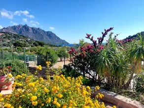 Small villa with a beautiful garden overlooking the sea - Image 4